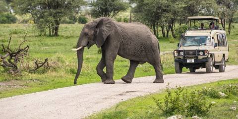 1 Nights Selous