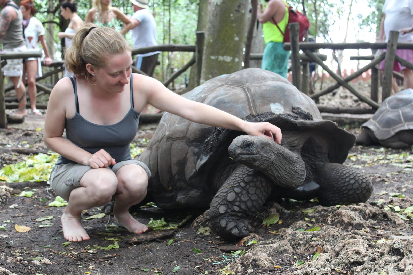 Prison Island & Giant Tortoise Tour